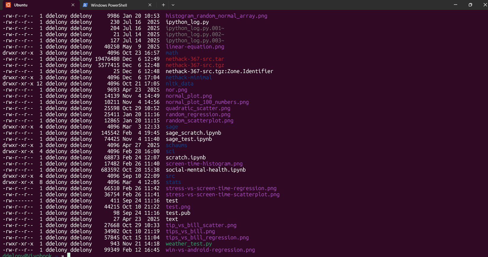 Windows TerminalでWSLを実行している様子