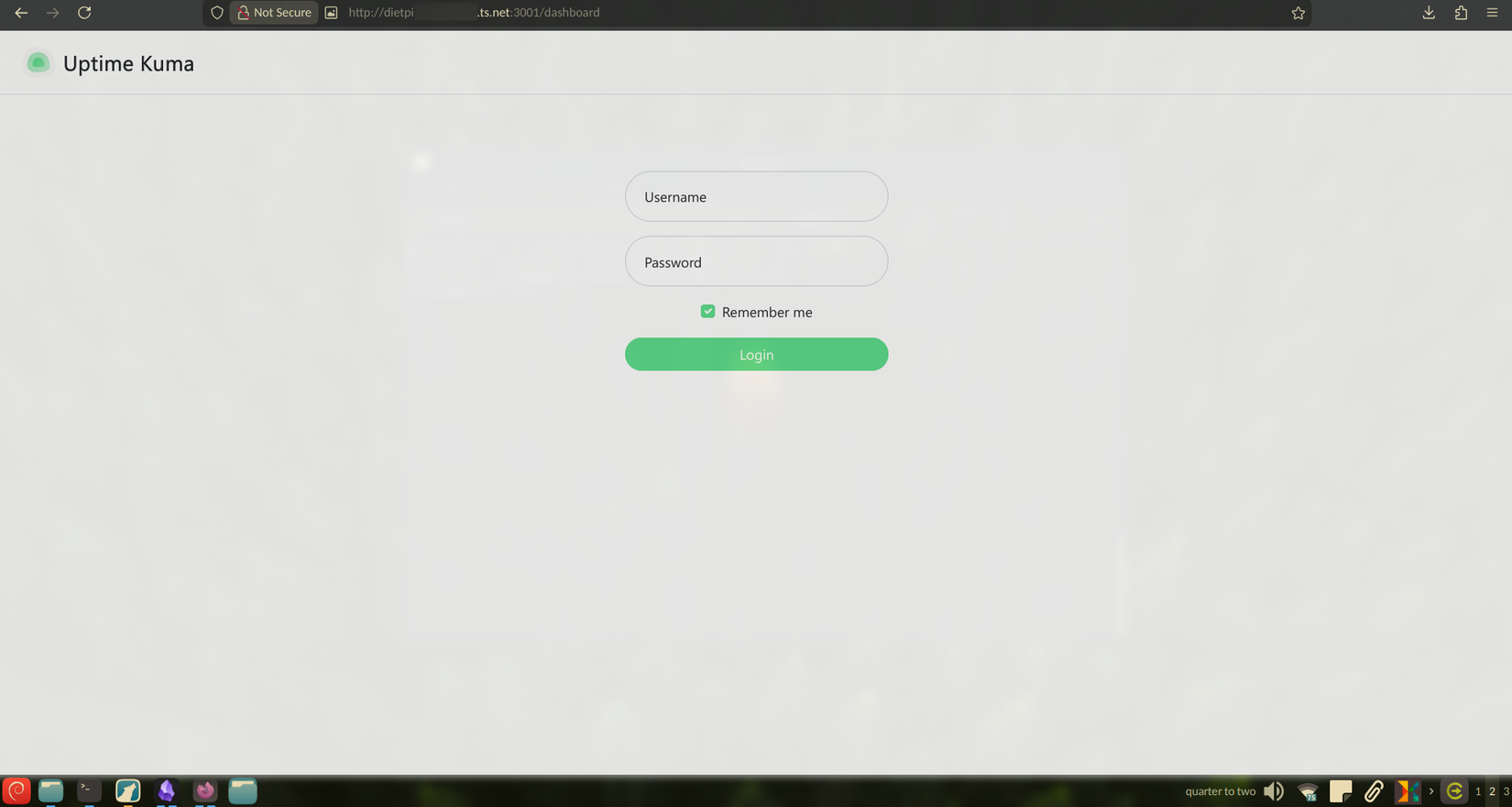 Accessing a Docker container over the tailnet.