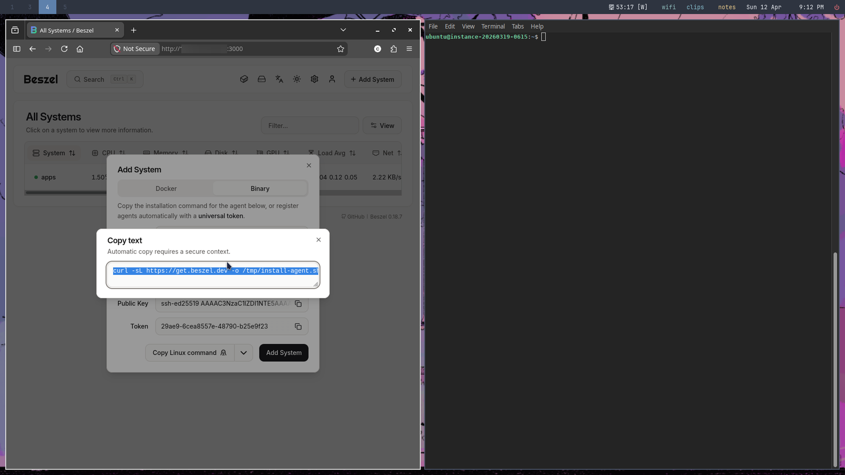 Adding a Binary system to beszel.