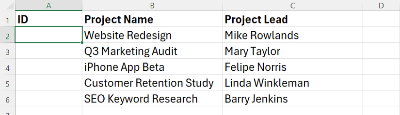 An Excel dataset with project names in column B, project managers in column C, and a blank column in column A for project IDs.