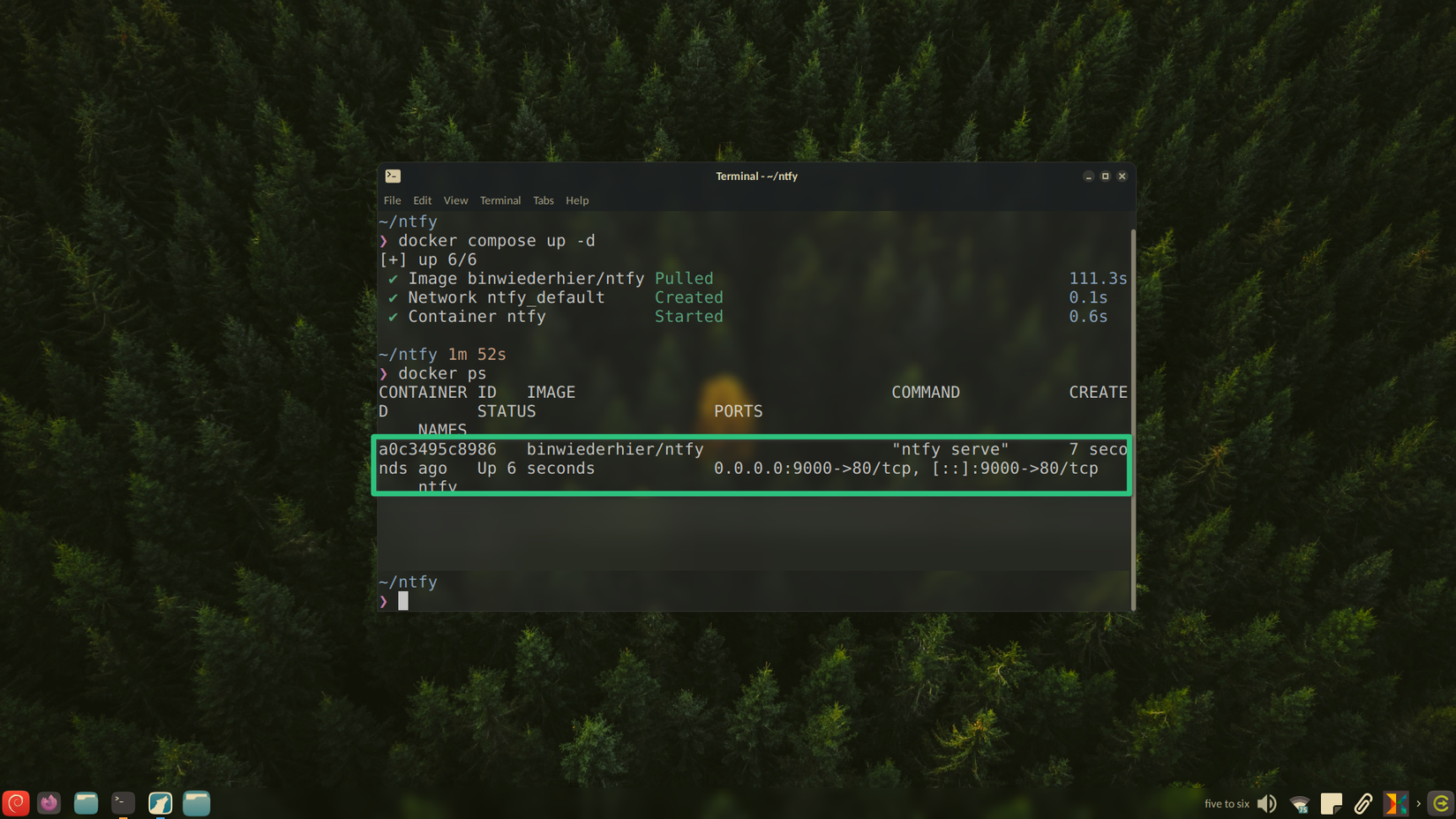Docker container running on port 9000.
