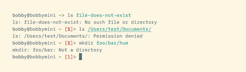 The Fish prompt showing an error exit status, 1, in red.
