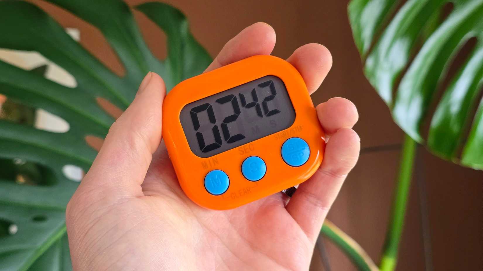A hand holding an orange timer.