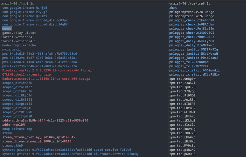 side by side comparison of contents of /tmp and /var/tmp directories on fedora