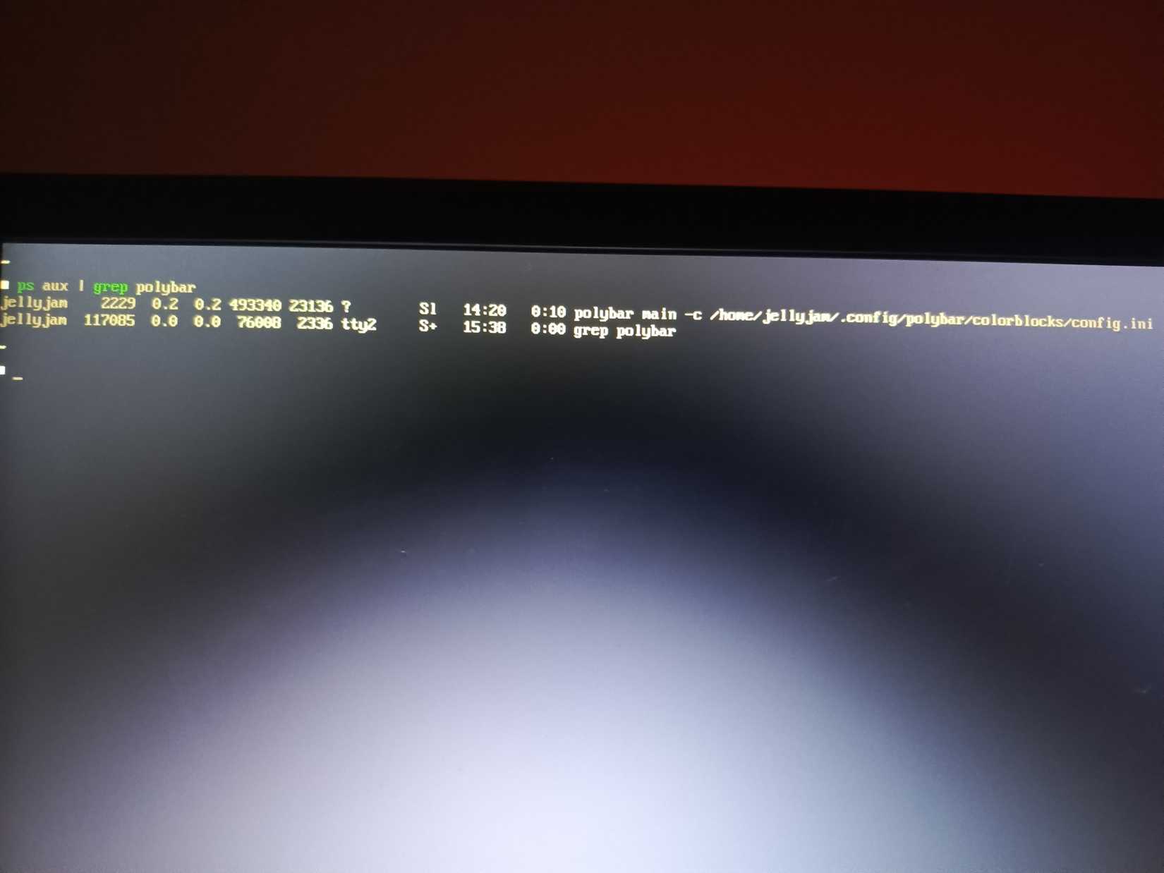 Two lines of output indicate a running process.
