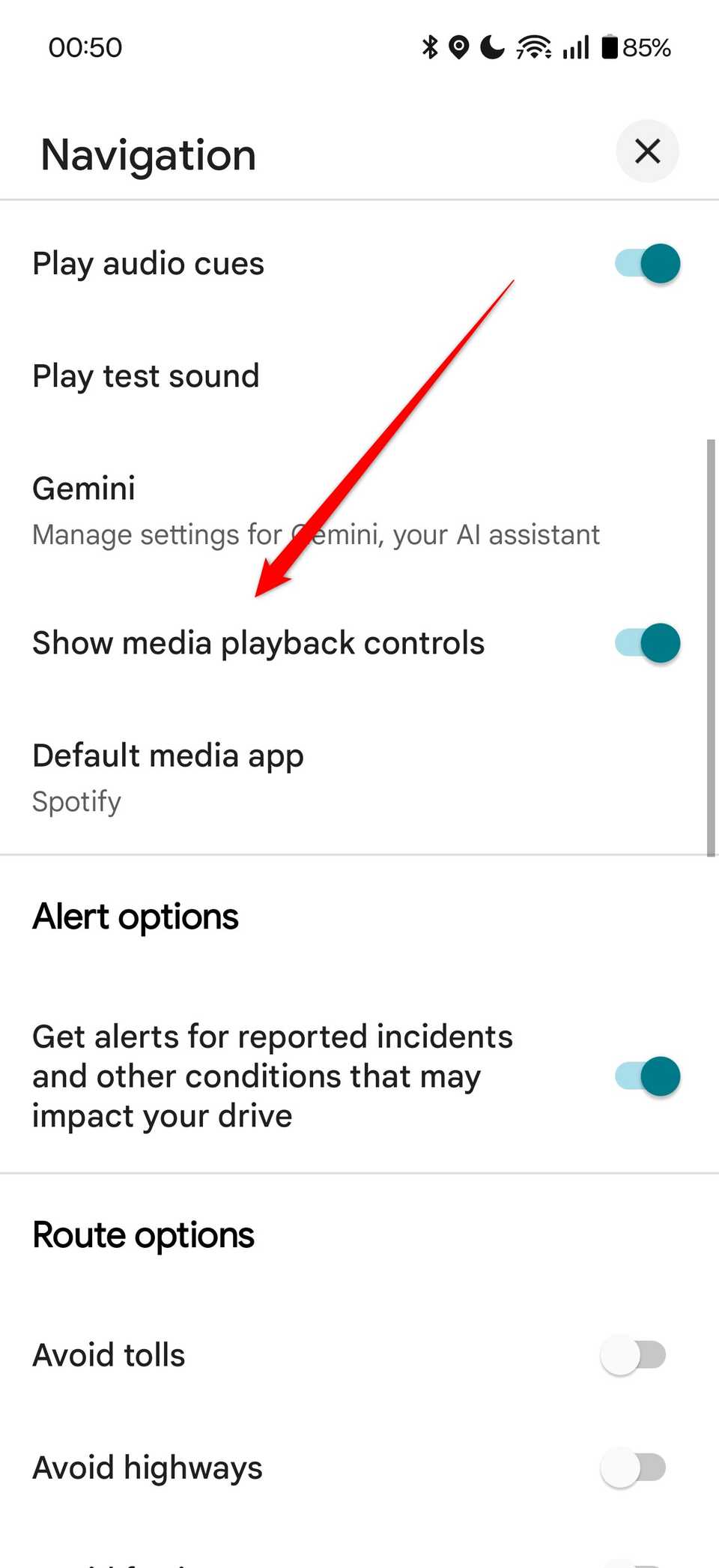 The "Show media playback controls" option in Google Maps settings.