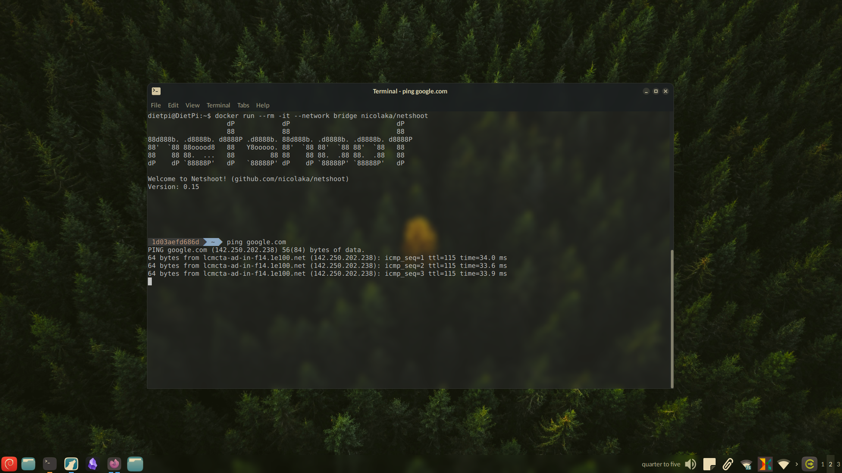 Netshoot gives me a shell to interact with one of my Docker virtual networks.