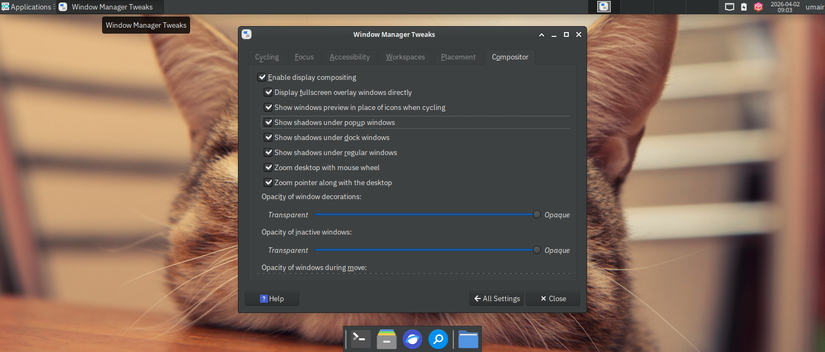 screenshot showing windows manager tweaks options on fedora xfce spin