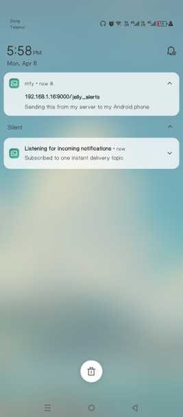 Receiving a push notification from my home server on my Android phone.