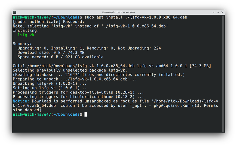 Installing the DEB file for lsfg-vk using the Terminal. 