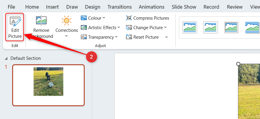 How to edit photos like a pro in PowerPoint