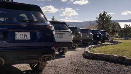 The lush compact SUV consumers are switching to as a substitute of the RAV4 in 2026 Rear shot of six 2025 Subaru Foresters parked next to one another