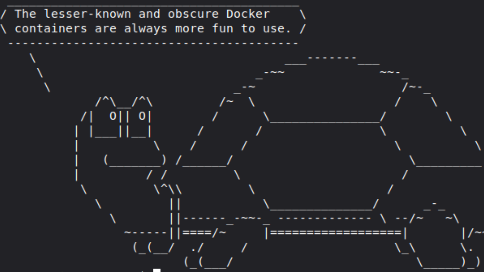 An ASCII turle sayings 'The Lesser Known and Obscure Docker containers are always the most fun to mess with.