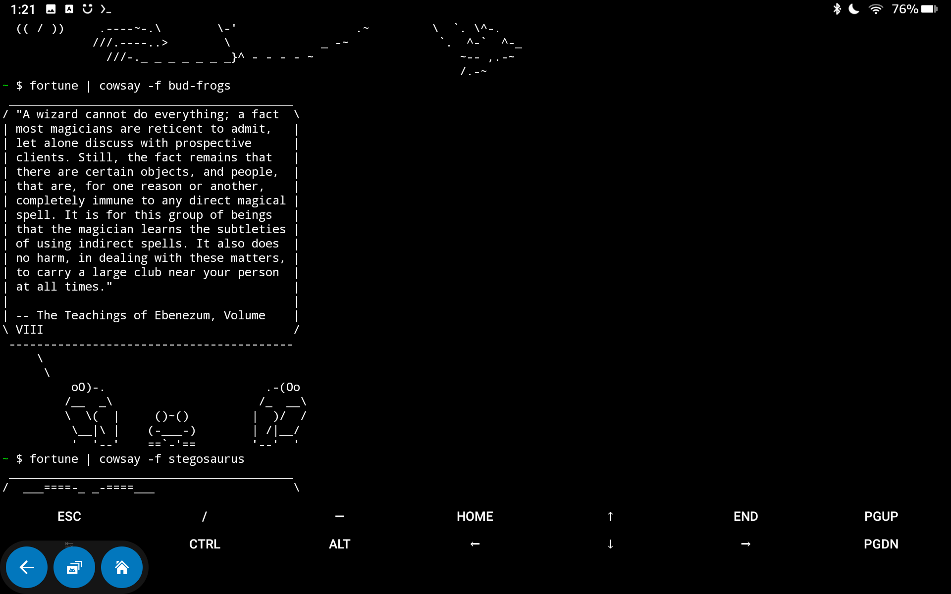 I turned my modded Fire Tablet into a working terminal — here's how and ...