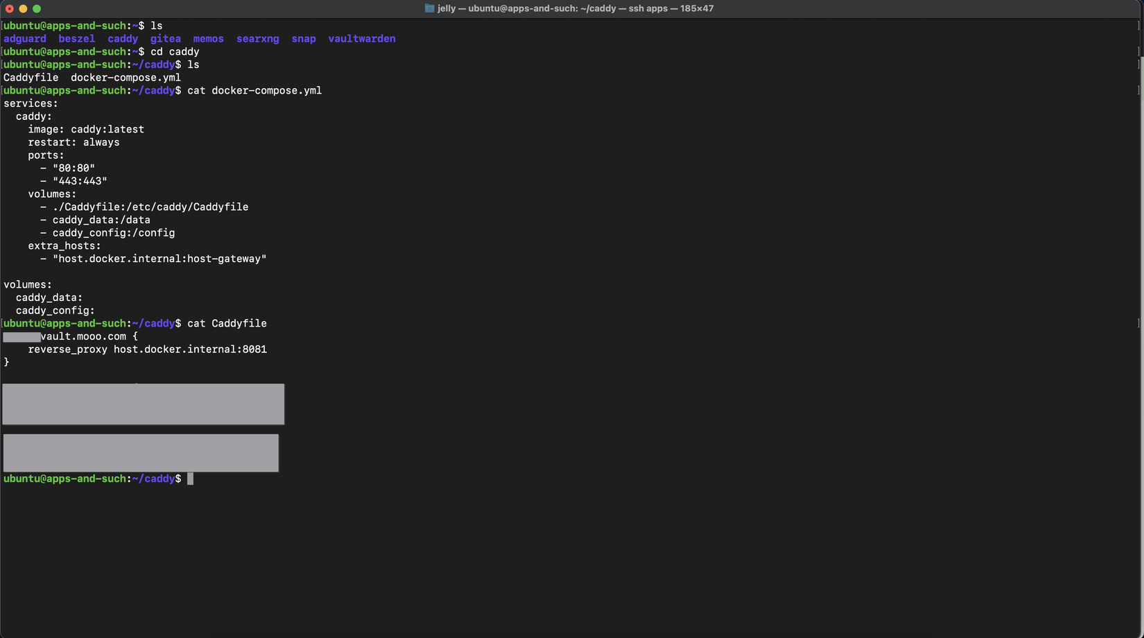 Caddy configuration file.