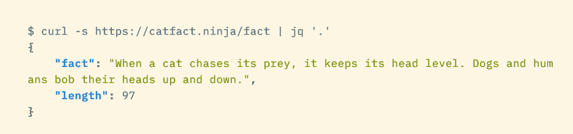 A curl command piped to jq showing the JSON result formatted with newlines and indents, and syntax highlighting.