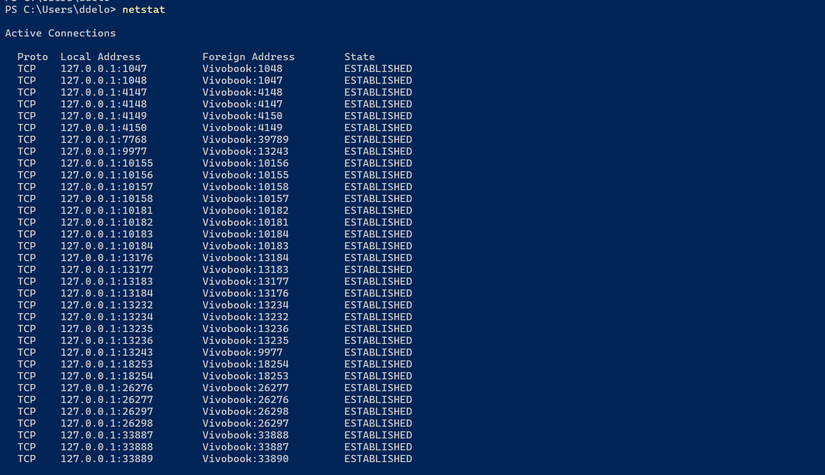 Output of the netstat command in PowerShell.