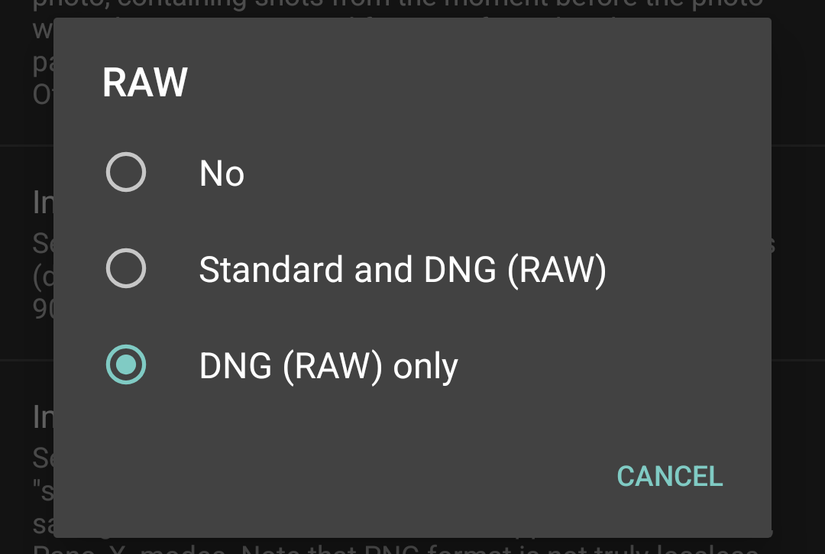 Open Camera RAW options.