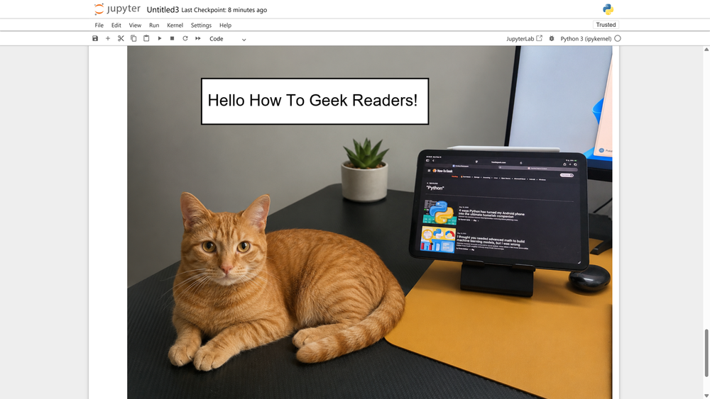 Text annotation added to an image using Pillow's ImageDraw module