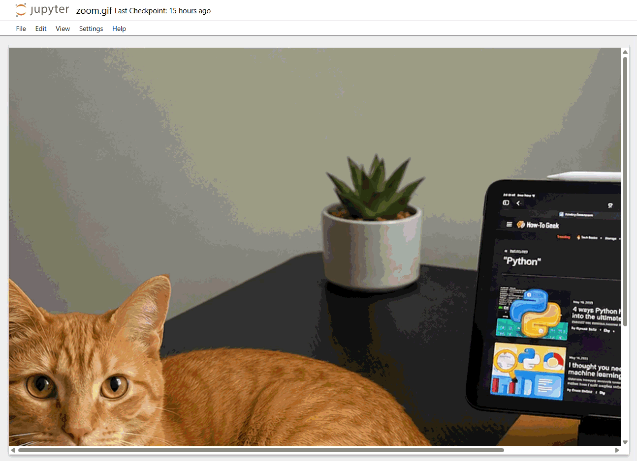 Animated GIF showing a slow zoom effect created with Python