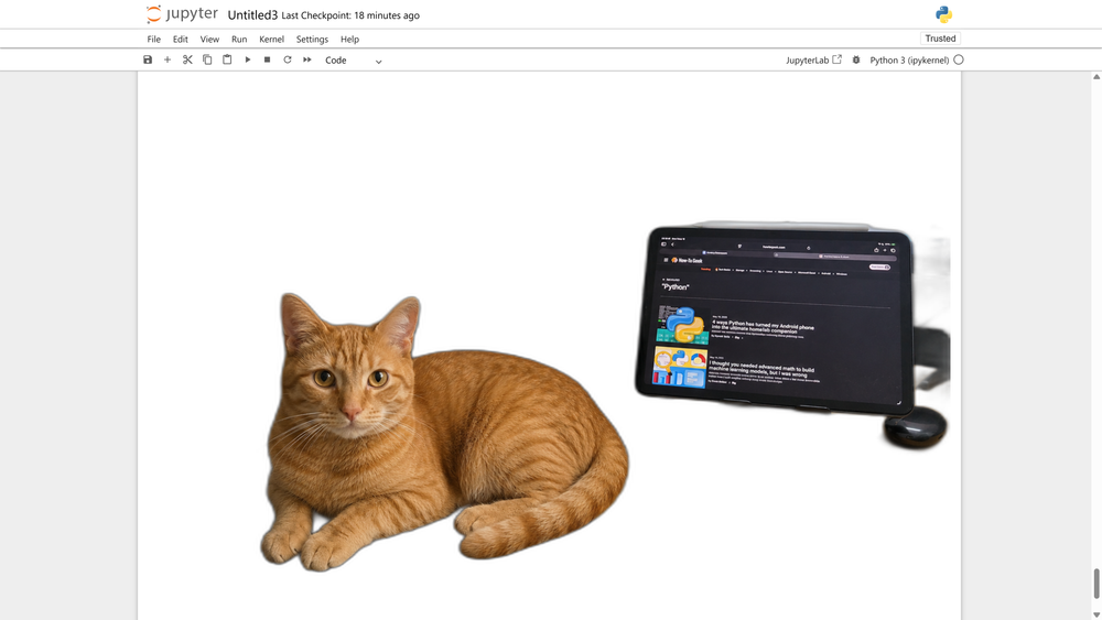 Before and after: rembg removes the background and isolates the subject