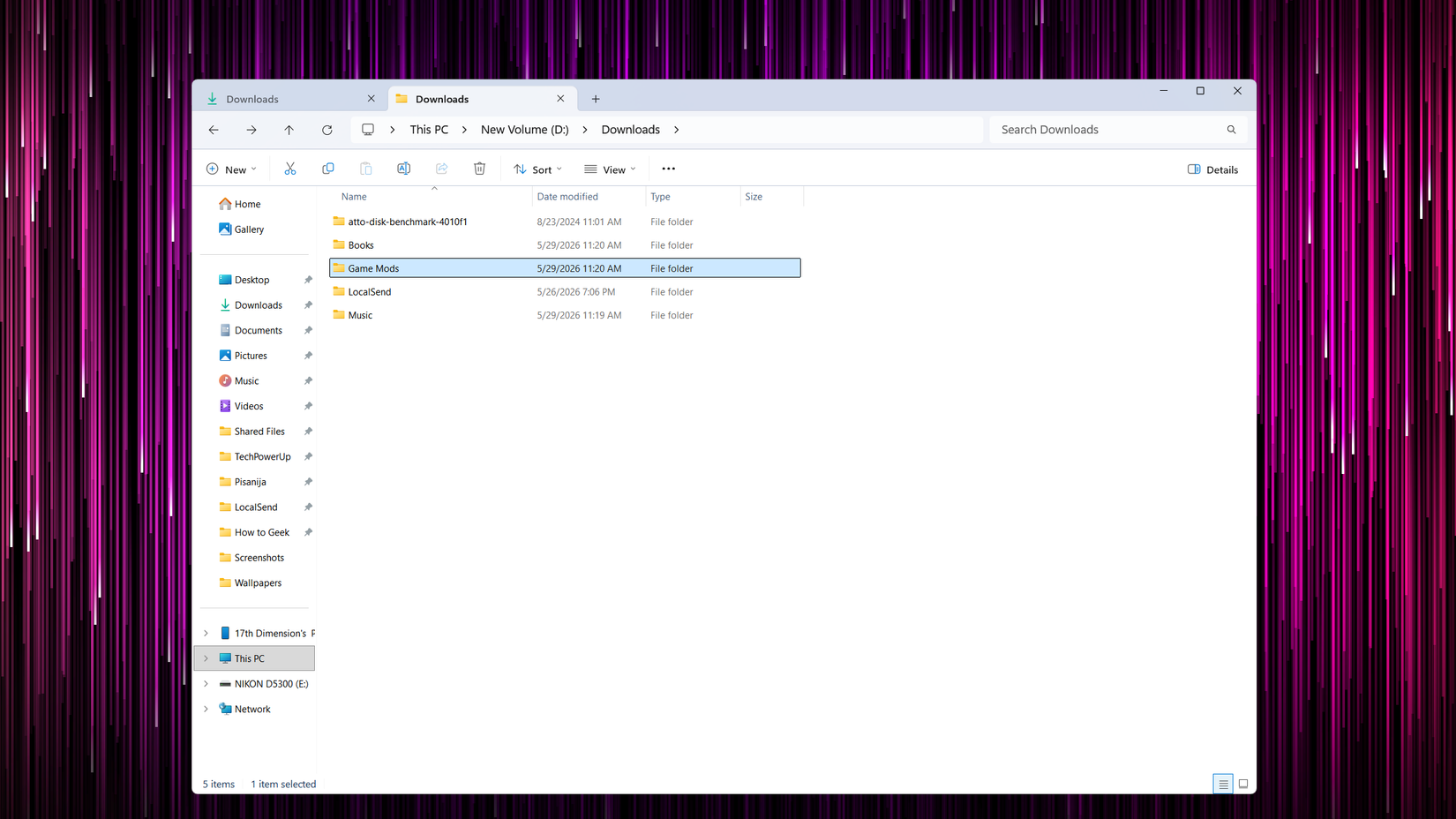 A secondary downloads folder on a Windows PC. 