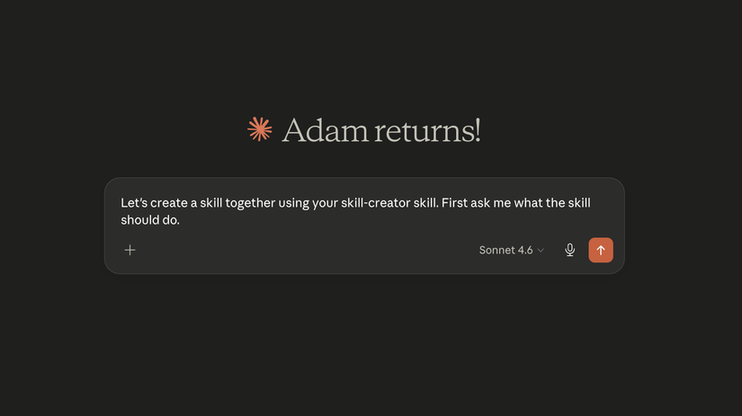 The Claude Cowork app showing a skill-creator prompt in the input field ready to send.