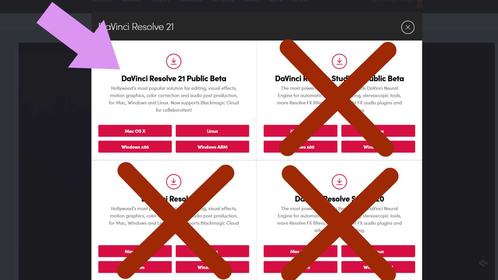 The correct Davince Resolve to download