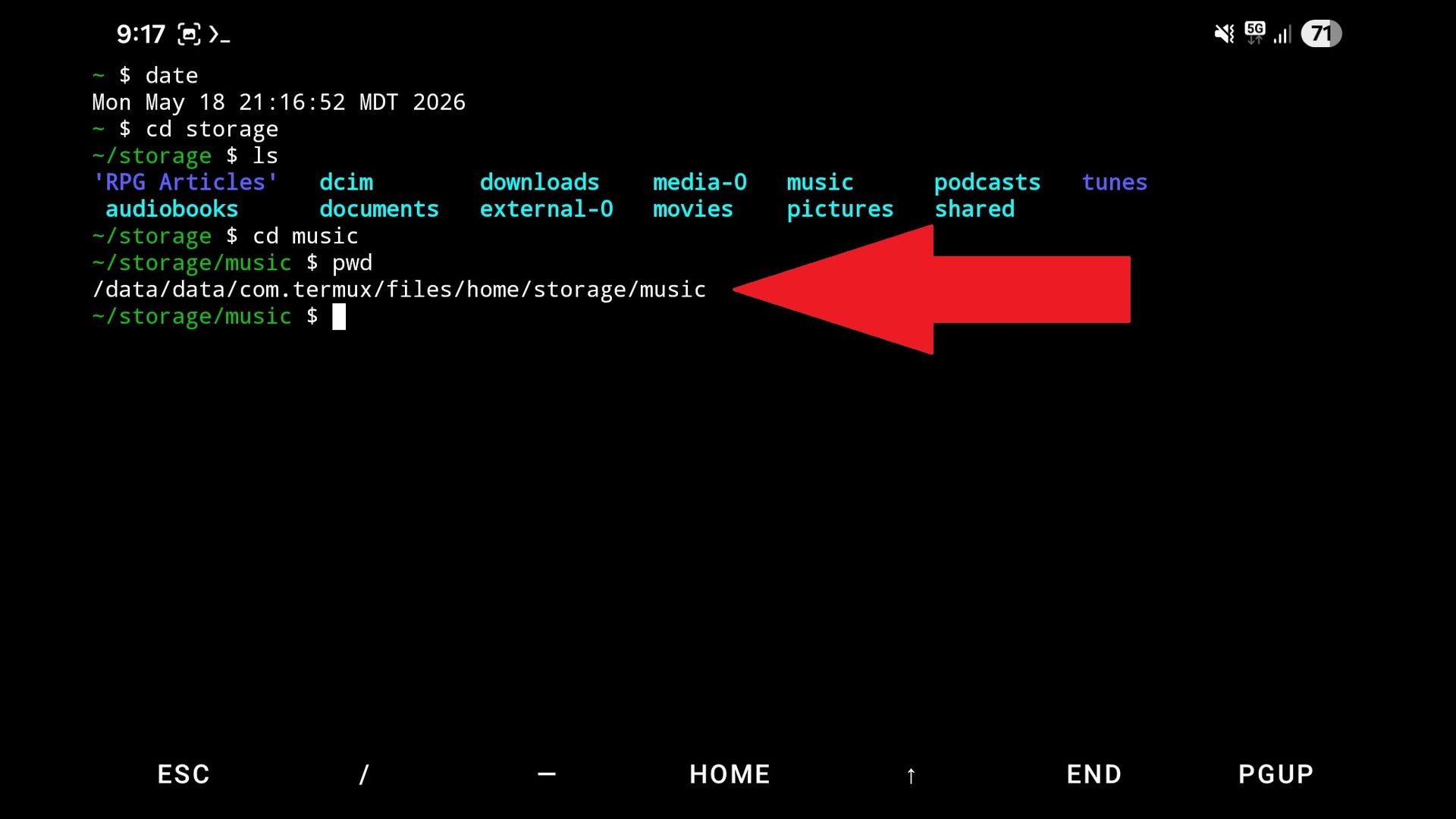 I figured out how to run my favorite Linux TUI music player on Android ...
