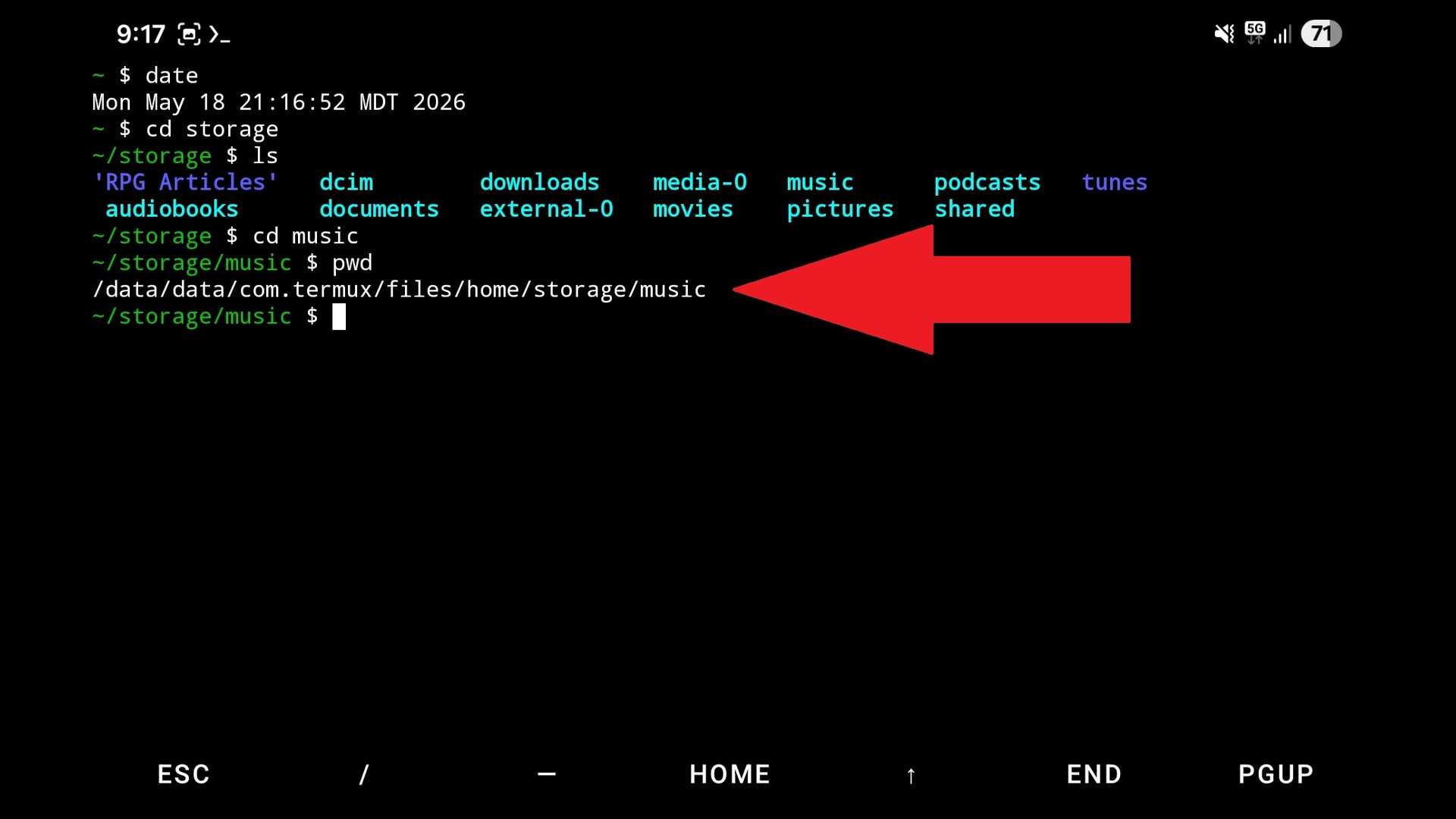 I figured out how to run my favorite Linux TUI music player on Android ...