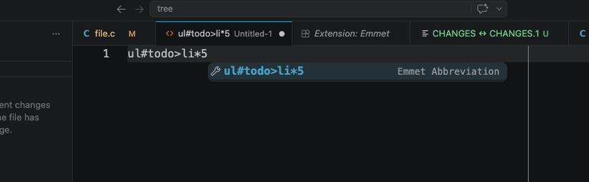 VS Code with a popup message that displays a string of characters similar to HTML/CSS and labels it "Abbreviation for Emmet."