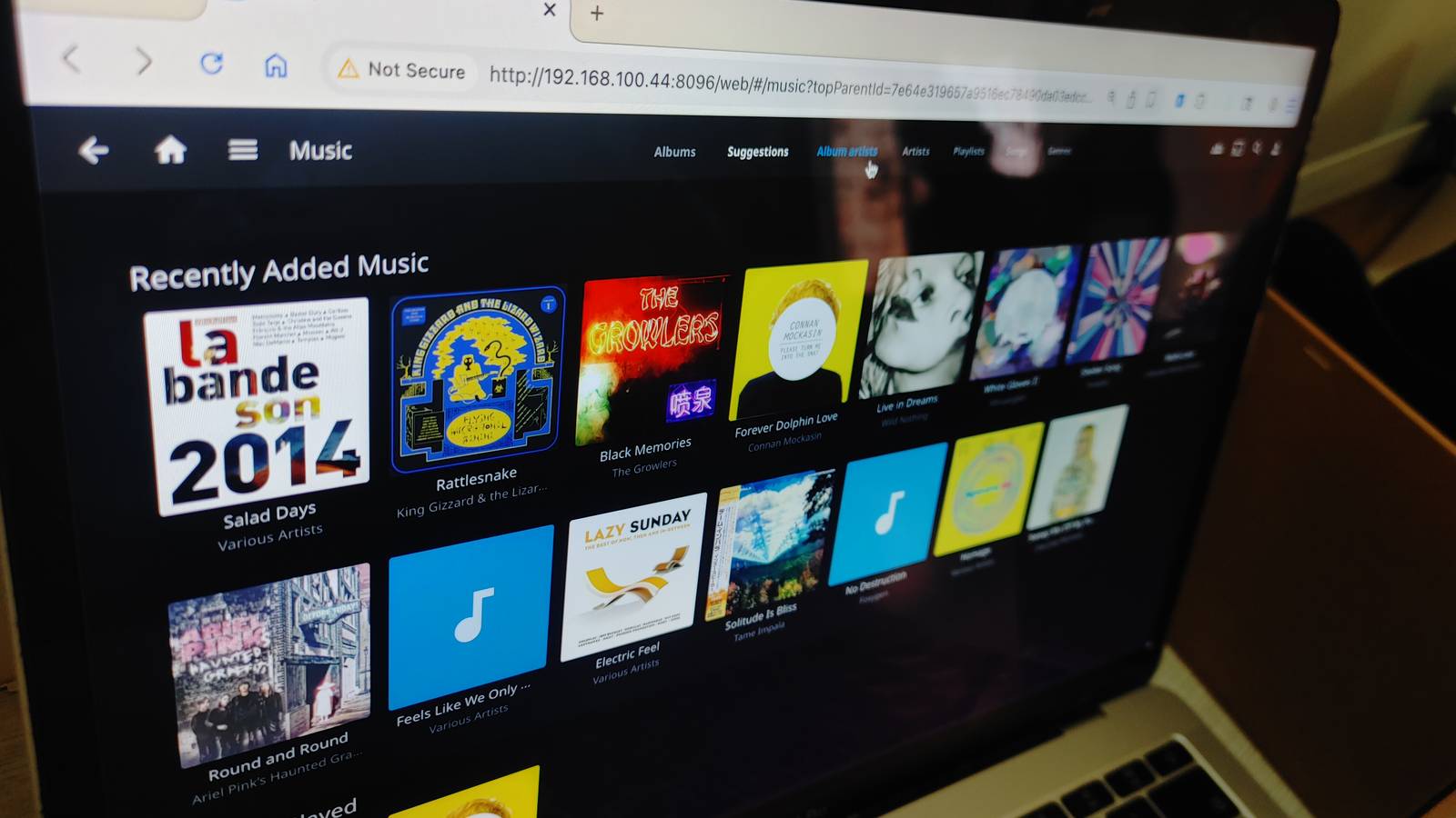 Jellyfin with my auto-tagged music library.