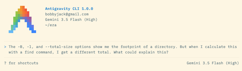 The agy CLI app showing a prompt: "The -B, -l, and --total-size options show me the footprint of a directory. But when I calculates this with a find command, I get a different total. What could explain this?