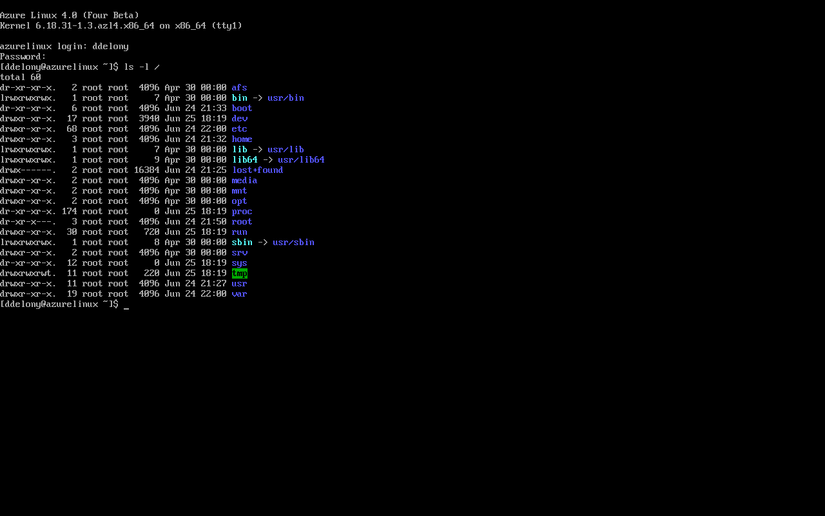 ls -l command in the Azure Linux console.