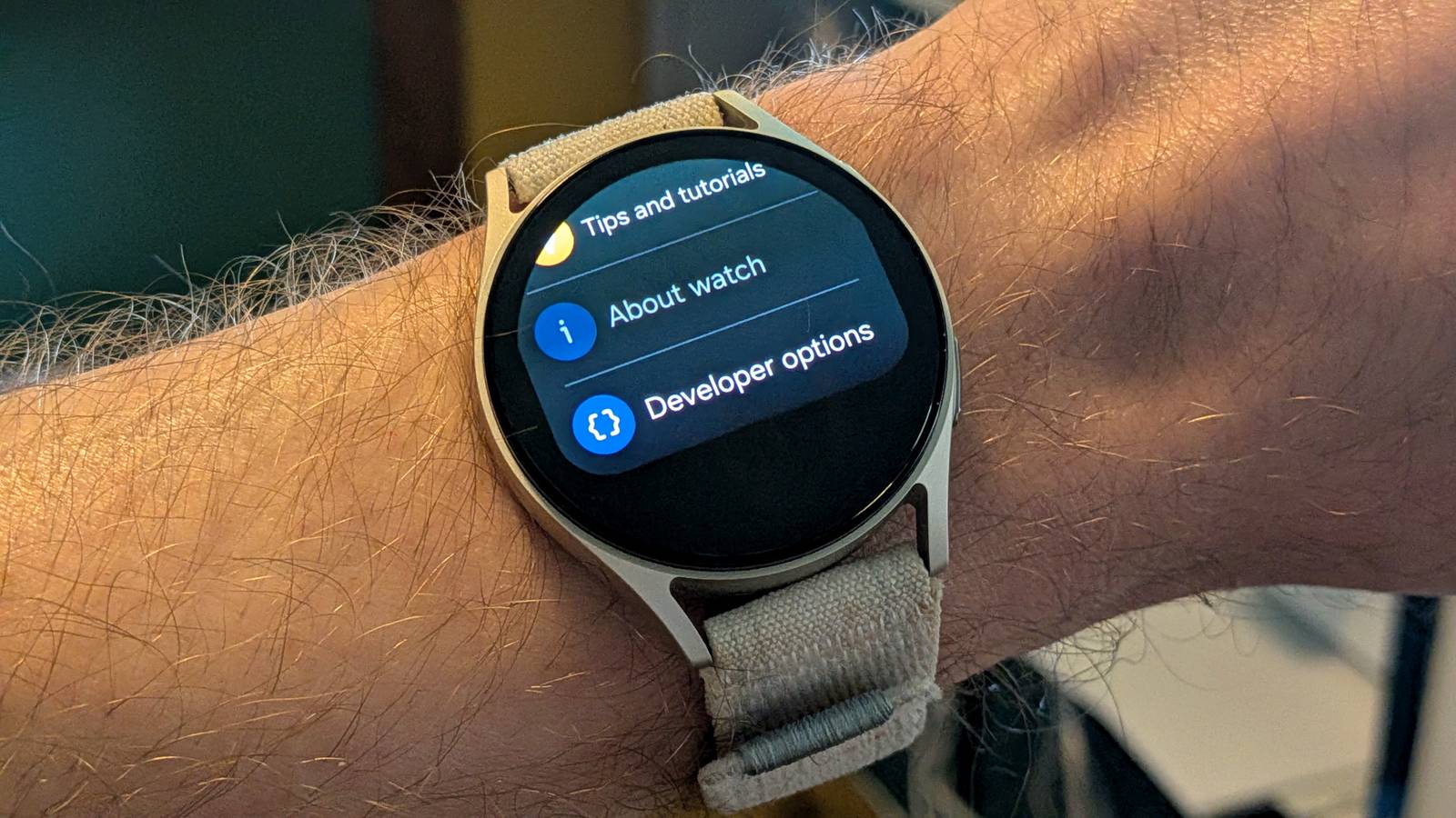 Your Galaxy Watch has a hidden developer mode, just like your phone
