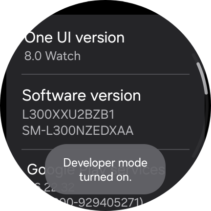 Your Galaxy Watch has a hidden developer mode, just like your phone