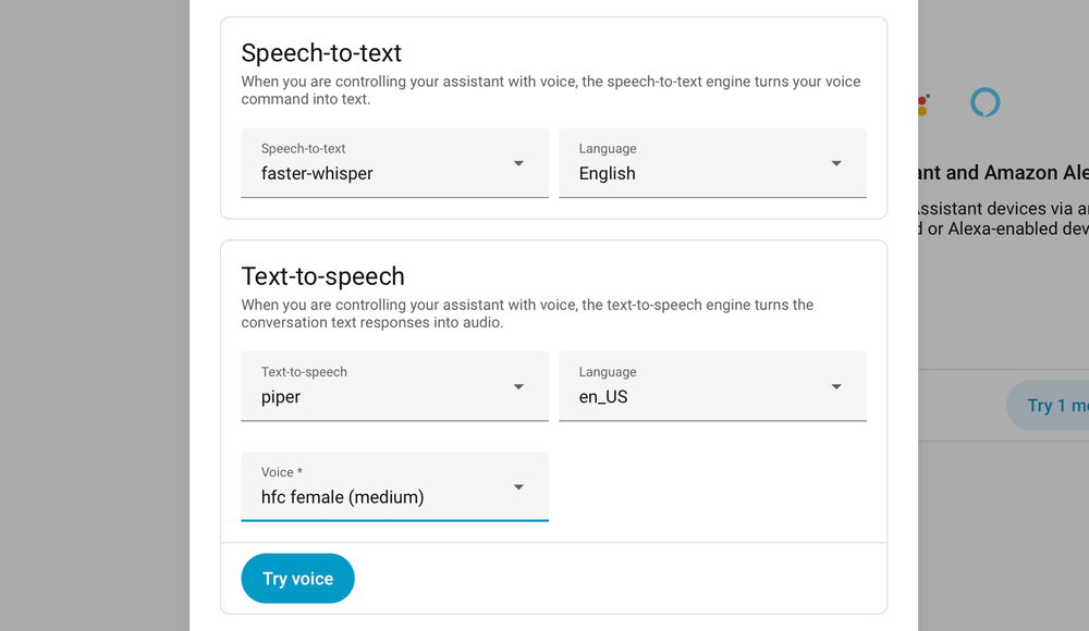 Home Assistant voice assistant settings for text-to-speech and speech-to-text configuration