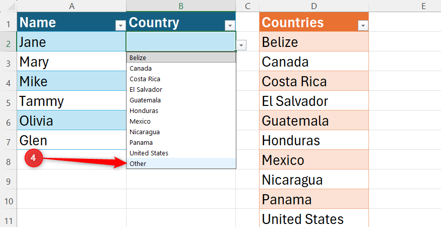 Everything you need to know about drop-down lists in Microsoft Excel