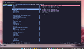 The Midnight Commander file manager inside WSL showing the Garuda Linux home directory with the dibakar user folder and its contents.