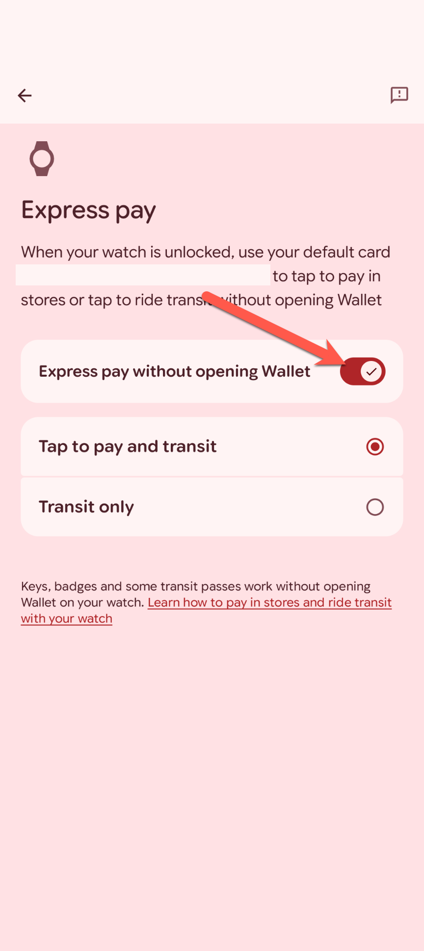 Pixel Watch settings 6