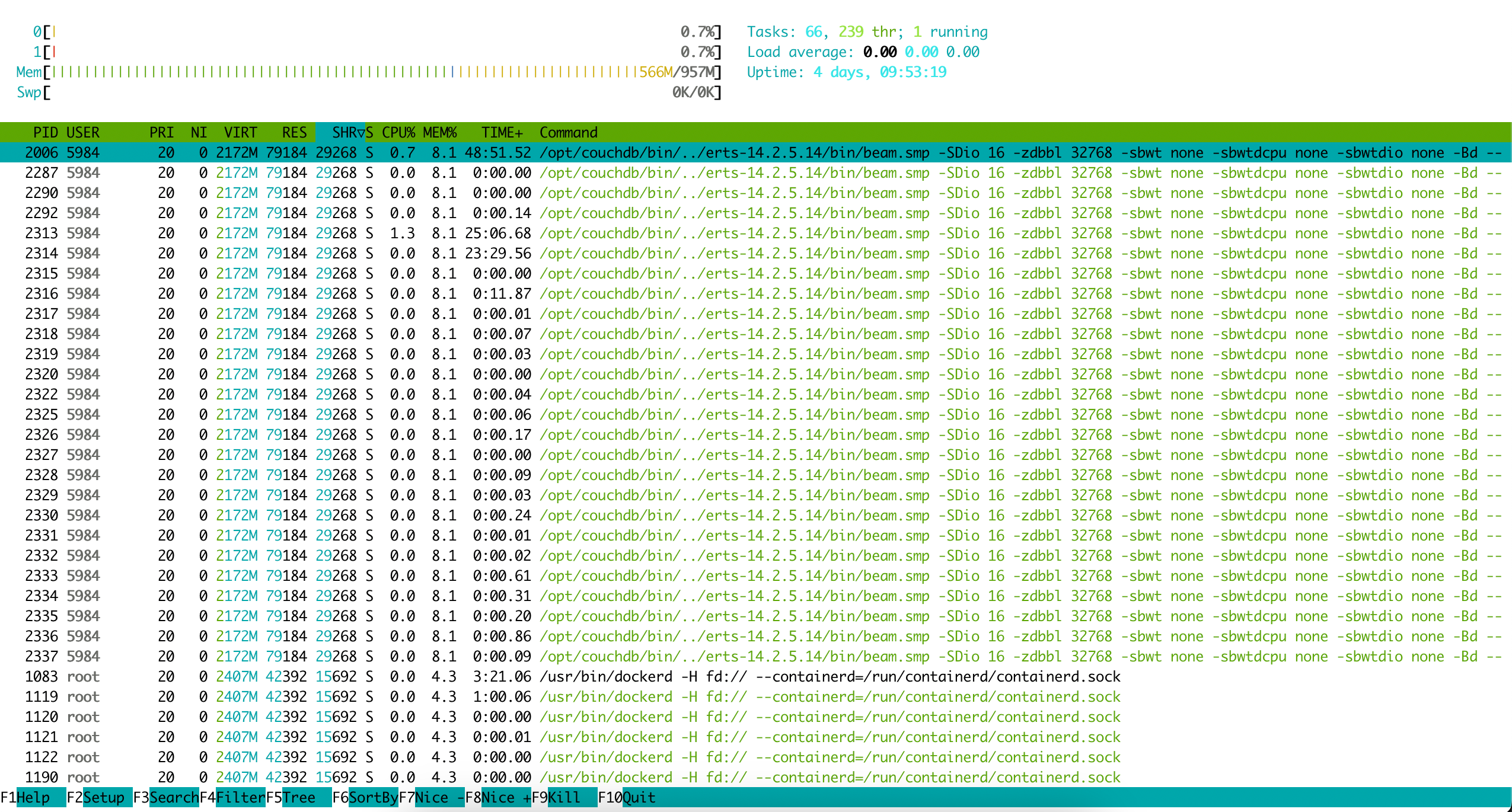 The VPS resource usage as seen on htop.