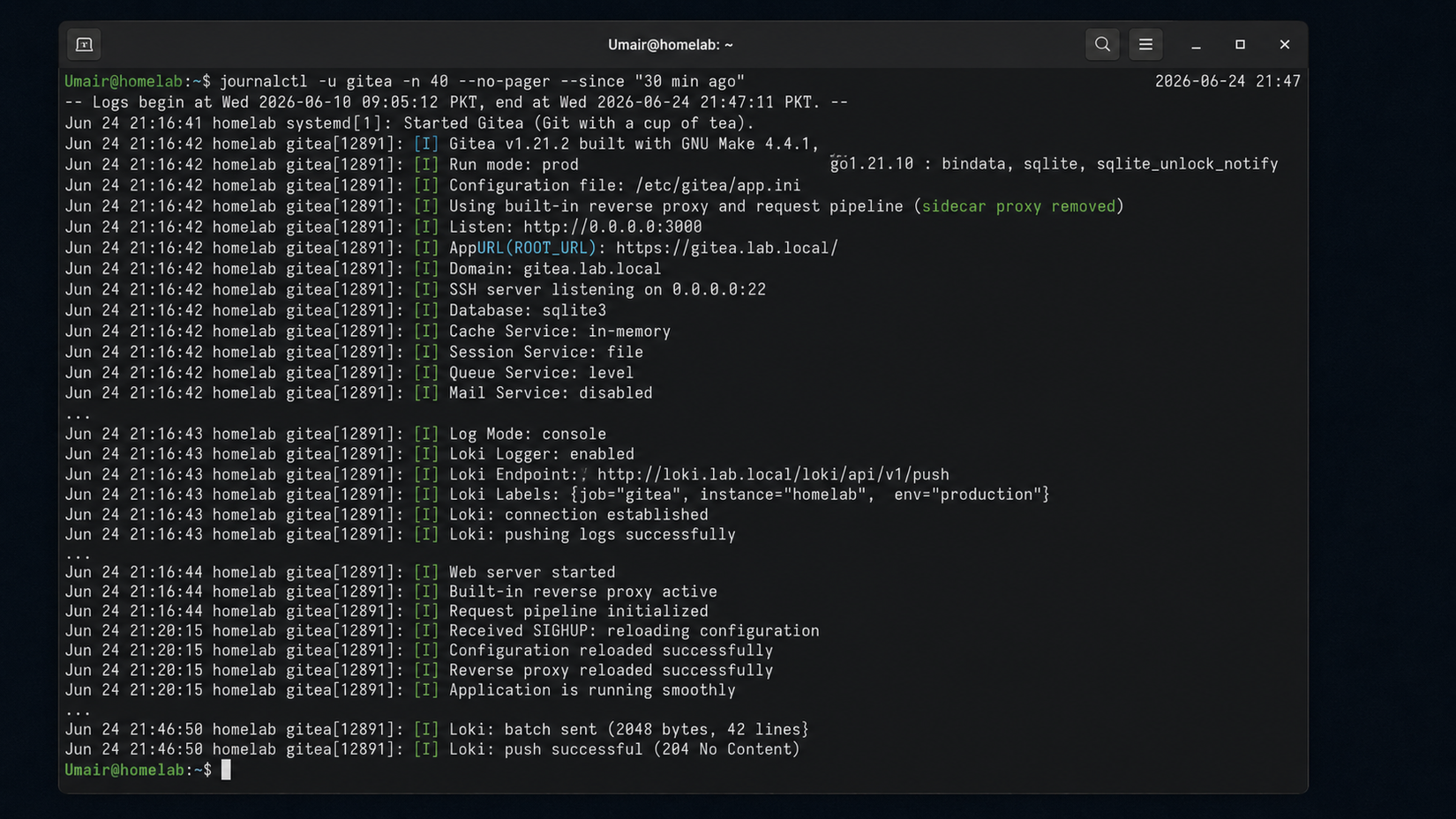 screenshot of gitea log