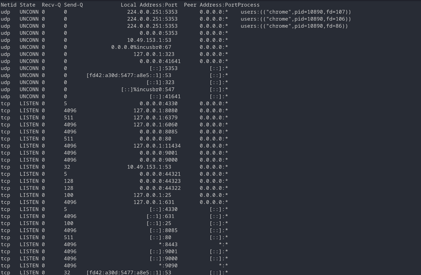 screenshot of ss tool output