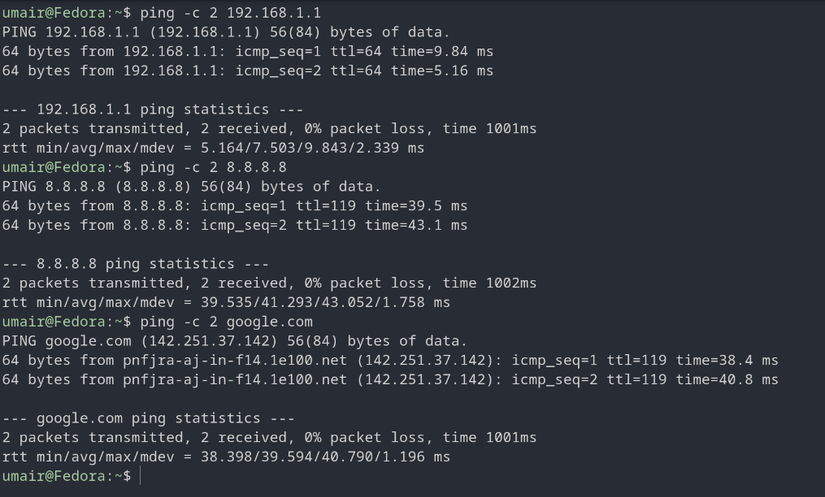 screenshot of the result of using the ping command