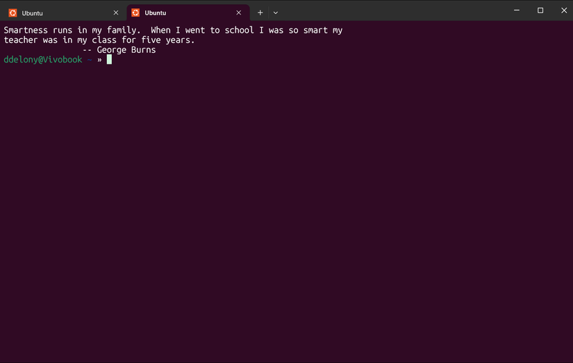Tabbed terminals in WSL.