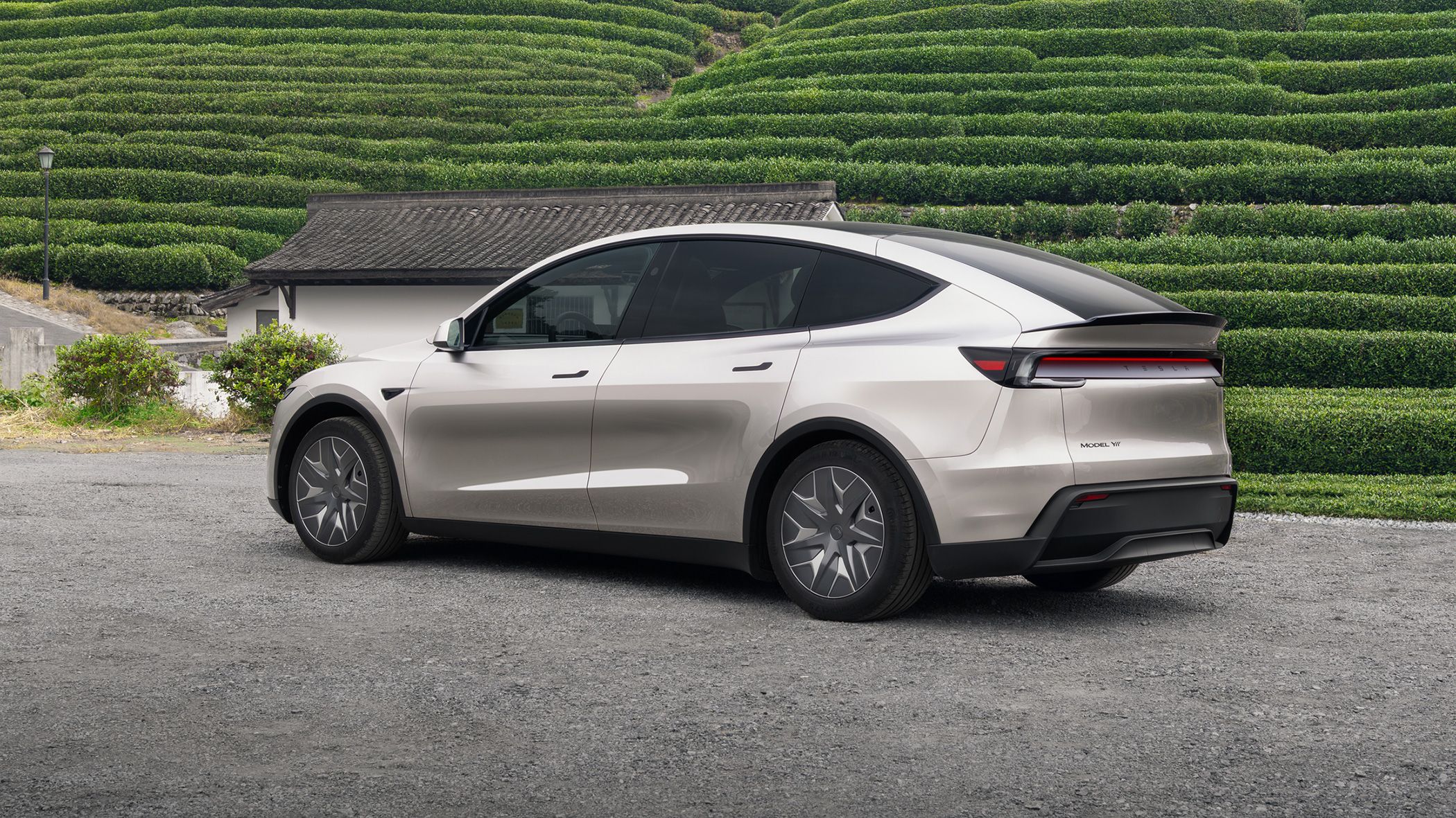 Tesla Model Y L in front of rice paddies