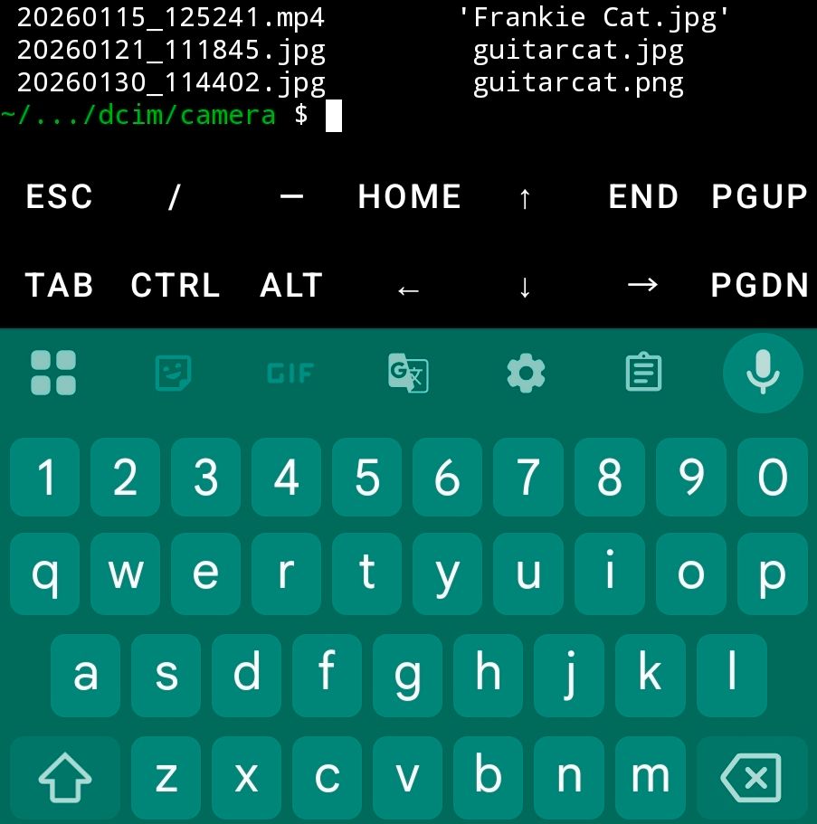 The directory for images loaded in Termux showing both jpg and png versions of the file.