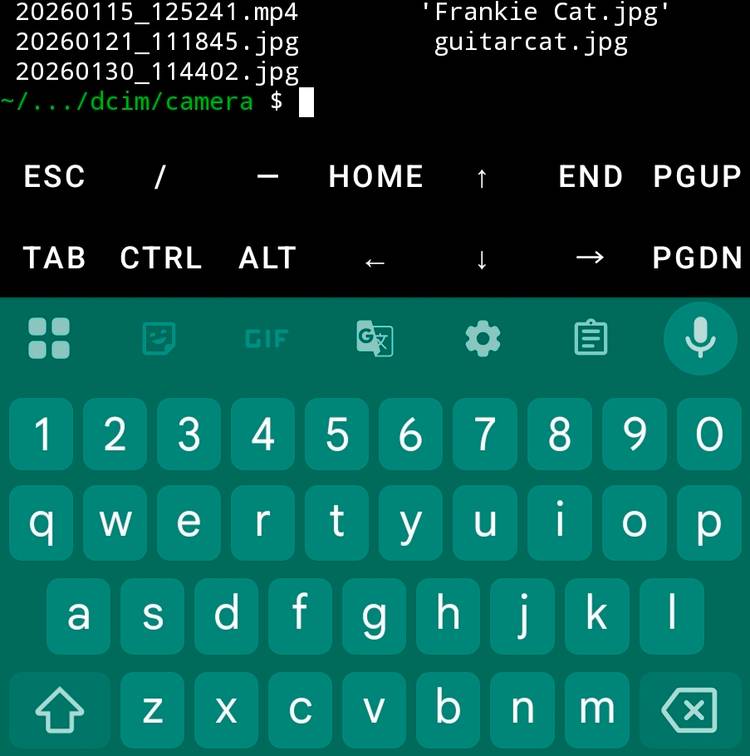 The directory for images loaded in Termux.