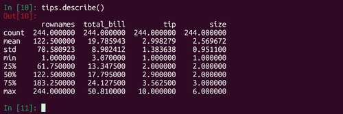 Descriptive statistics output from Pandas describe() method