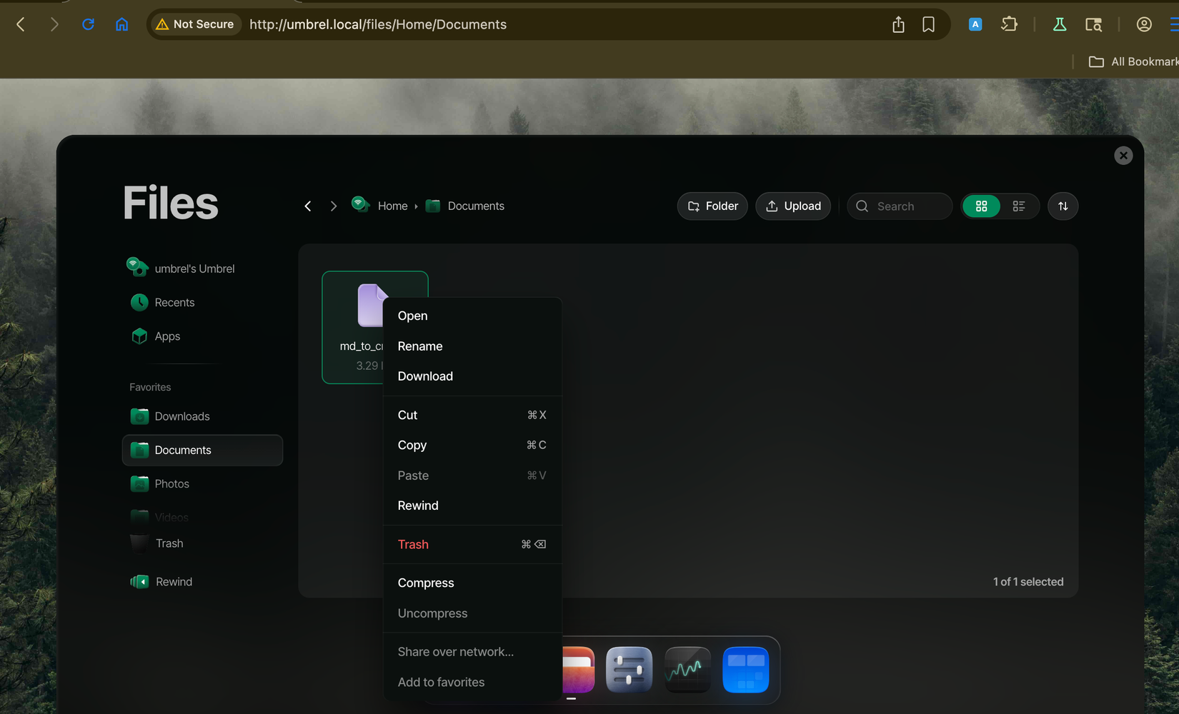 umbrelOS file explorer options.